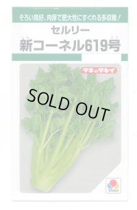 送料無料　新コーネル619号　0.8ml　タキイ種苗　GF