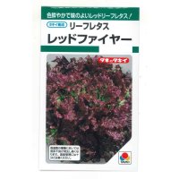 送料無料　[レタス]　リーフレタス　レッドファイヤー　1.3ml　タキイ種苗(株)　GF