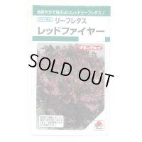 送料無料　[レタス]　リーフレタス　レッドファイヤー　1.3ml　タキイ種苗(株)　GF