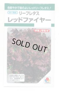 送料無料　[レタス]　リーフレタス　レッドファイヤー　1.3ml　タキイ種苗(株)　GF