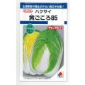 送料無料　[白菜]　黄ごころ85　1ml　タキイ種苗(株)　DF