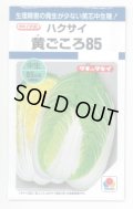 送料無料　[白菜]　黄ごころ85　1ml　タキイ種苗(株)　DF