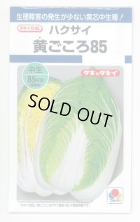 送料無料　[白菜]　黄ごころ85　1ml　タキイ種苗(株)　DF