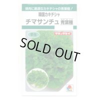 送料無料　[レタス]　チマサンチュ　青葉種　0.9ml　タキイ種苗　GF