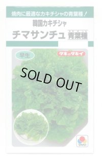 送料無料　[レタス]　チマサンチュ　青葉種　0.9ml　タキイ種苗　GF
