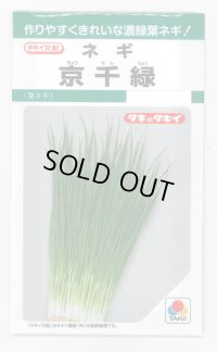 [ねぎ] ねぎ　京千緑 15ml タキイ種苗（株） GF