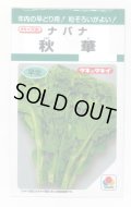 送料無料　[葉物]　秋華　5ml　タキイ種苗(株)　GF