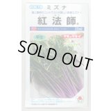 送料無料　[葉物]　水菜　紅法師　20ml　タキイ種苗(株)