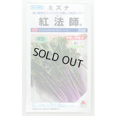 画像1: 送料無料　[葉物]　水菜　紅法師　20ml　タキイ種苗(株)