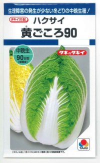送料無料　[白菜]　黄ごころ90　1ml　タキイ種苗(株)　DF