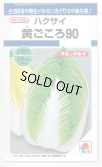 [白菜]　黄ごころ90　1ｍｌ　タキイ種苗（株）　DF