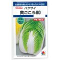 送料無料　[白菜]　黄ごころ80　1ml　タキイ種苗(株)　DF