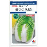 送料無料　[白菜]　黄ごころ80　1ml　タキイ種苗(株)　DF