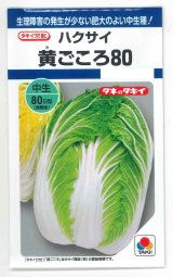 送料無料　[白菜]　黄ごころ80　1ml（約200粒）　タキイ種苗(株)　DF