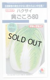 送料無料　[白菜]　黄ごころ80　1ml　タキイ種苗(株)　DF