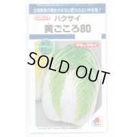 [白菜]　黄ごころ80　1ｍｌ　タキイ種苗（株）　DF