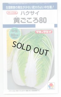 [白菜]　黄ごころ80　1ｍｌ　タキイ種苗（株）　DF