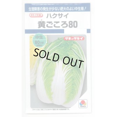画像1: [白菜]　黄ごころ80　1ｍｌ　タキイ種苗（株）　DF