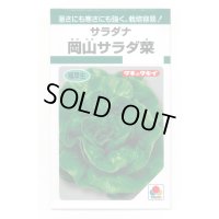 サラダナ 岡山サラダ菜 1.4ml タキイ種苗(株) GF