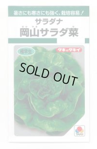 サラダナ 岡山サラダ菜 1.4ml タキイ種苗(株) GF