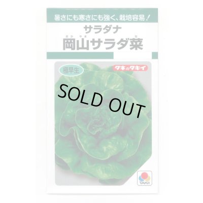 画像1: サラダナ 岡山サラダ菜 1.4ml タキイ種苗(株) GF