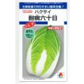 送料無料　[白菜]　耐病六十日　2.2ml　タキイ種苗(株)　DF