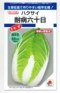 送料無料　[白菜]　耐病六十日　2.2ml　タキイ種苗(株)　DF