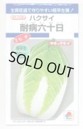 送料無料　[白菜]　耐病六十日　2.2ml　タキイ種苗(株)　DF