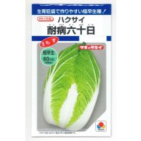 送料無料　[白菜]　耐病六十日　2.2ml　タキイ種苗(株)　DF