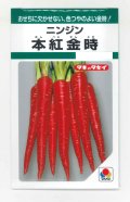 送料無料　[人参]　本紅金時　7ml　タキイ種苗　GF