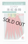 送料無料　[人参]　本紅金時　7ml　タキイ種苗　GF