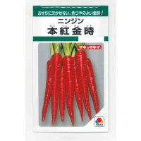 送料無料　[人参]　本紅金時　7ml　タキイ種苗　GF