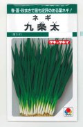 送料無料　[ねぎ]　九条太　13ml　タキイ種苗(株)　GF