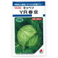 [キャベツ]　YR春空　1.2ml （およそ190粒）貴種（コートしてません）　タキイ種苗（株）　DF