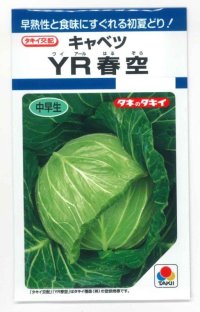 [キャベツ]　YR春空　1.2ml （およそ190粒）貴種（コートしてません）　タキイ種苗（株）　DF