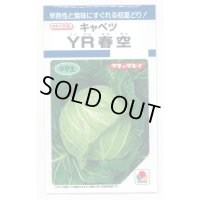 送料無料　[キャベツ]　YR春空　1.2ml　(およそ190粒)貴種(コートしてません)　タキイ種苗(株)　DF