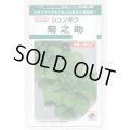 送料無料　[春菊]　春菊　菊之助　22ml　タキイ種苗(株)　GF