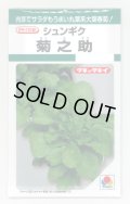 送料無料　[春菊]　春菊　菊之助　22ml　タキイ種苗(株)　GF