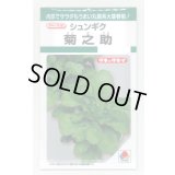 送料無料　[春菊]　春菊　菊之助　22ml　タキイ種苗(株)　GF