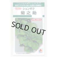 送料無料　[春菊]　春菊　菊之助　22ml　タキイ種苗(株)　GF