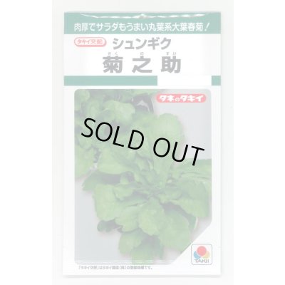 画像1: 送料無料　[春菊]　春菊　菊之助　22ml　タキイ種苗(株)　GF