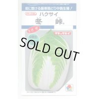 [白菜]　冬峠　2.2ｍｌ　タキイ種苗（株）　DF