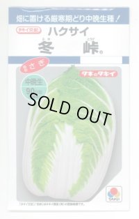 [白菜]　冬峠　2.2ｍｌ　タキイ種苗（株）　DF