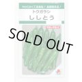 送料無料　[ししとう]　ししとう　135粒　タキイ種苗　GF
