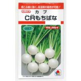 送料無料　[かぶ]　ＣＲもちばな　3.5ml　タキイ種苗(株)　RF
