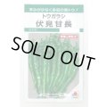 送料無料　[とうがらし]　伏見甘長　180粒　タキイ種苗(株)　GF