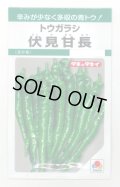 送料無料　[とうがらし]　伏見甘長　180粒　タキイ種苗(株)　GF