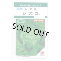 送料無料　[レタス]　シスコ　0.9ml　(およそ466粒)　タキイ種苗(株)　GF