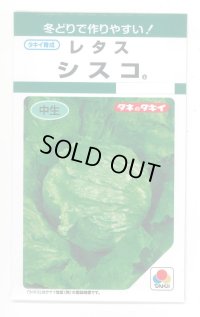 送料無料　[レタス]　シスコ　0.9ml　(およそ466粒)　タキイ種苗(株)　GF