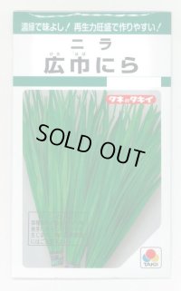 送料無料　にら　広巾にら　13ml　タキイ種苗　GF